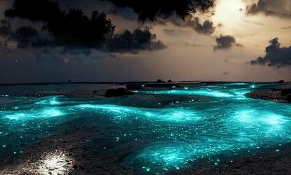 bioluminescenze